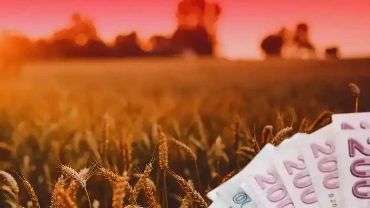 Üreticilere müjdeli haber: 4,2 milyar lira ödeniyor