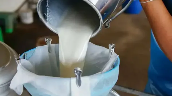 Çiğ süt üreticilerine yönelik yeni destek düzenlemesi açıklandı.