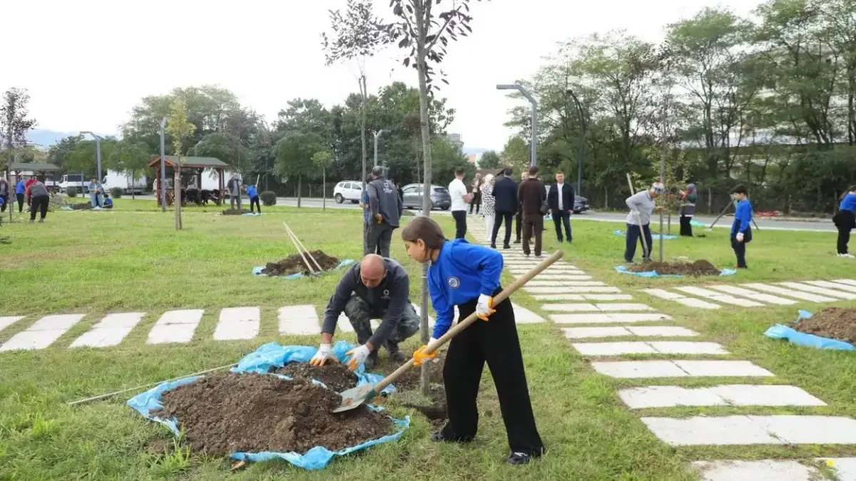 Ordu'daki öğrenciler doğaya katkı sağlamak için ağaç dikti