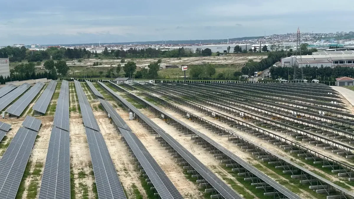 Humanis'in 2025 Sürdürülebilirlik Raporu yayımlandı