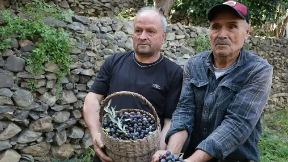 Haber Detayı