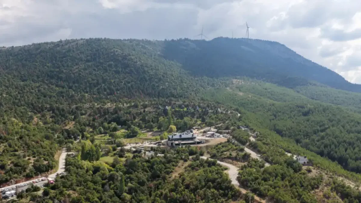 Haber Detayı