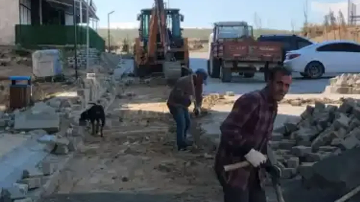 Haber Detayı