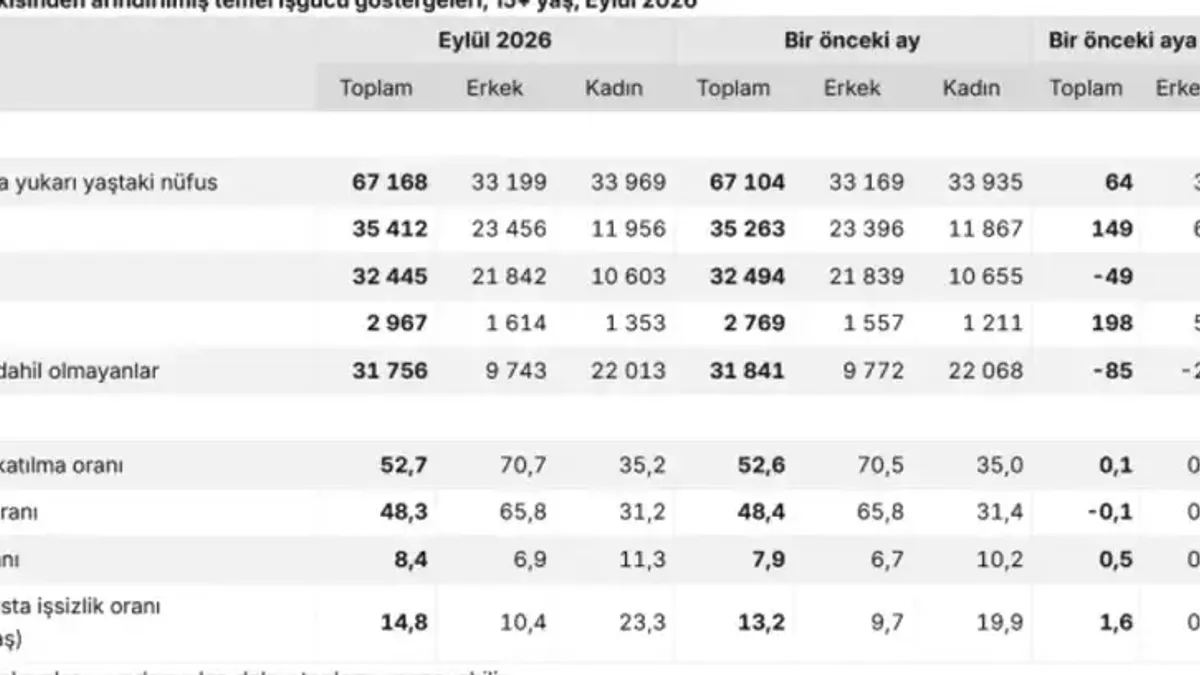 İşsizlikte sert yükseliş eylül ayında 198 bin kişi daha işsiz kaldı - Detay Görsel 1