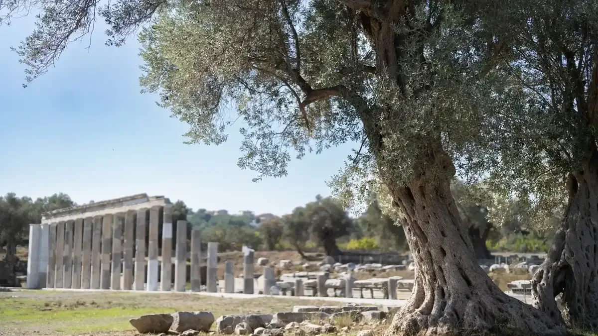 Teos Antik Kenti'nde yürütülen kazı ve restorasyon çalışmaları tarihi yapıları gün yüzüne çıkarıyor.