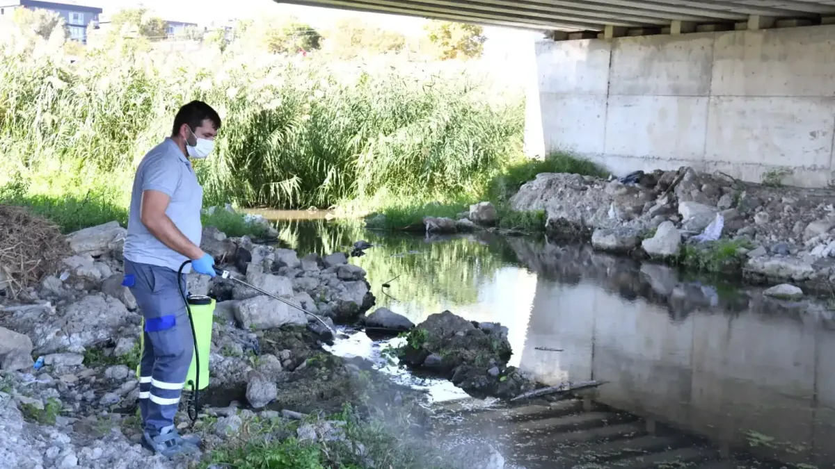 Çanakkale'de sineklerle mücadele için önlemler alınıyor