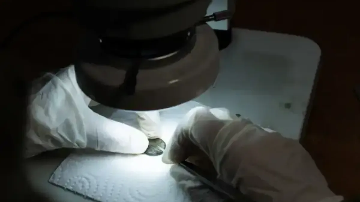 Teos Antik Kenti'ndeki kazılar 2 bin 200 yıllık tarihi aydınlatıyor - Detay Görsel 2