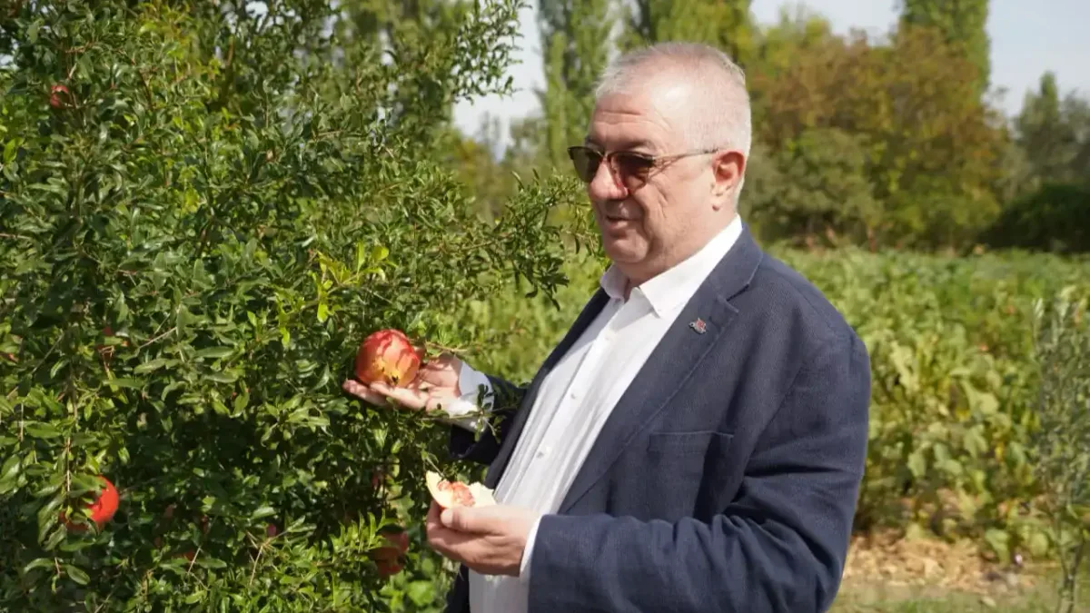 Edremit'te ata tohumlarıyla sürdürülebilir tarım hamlesi