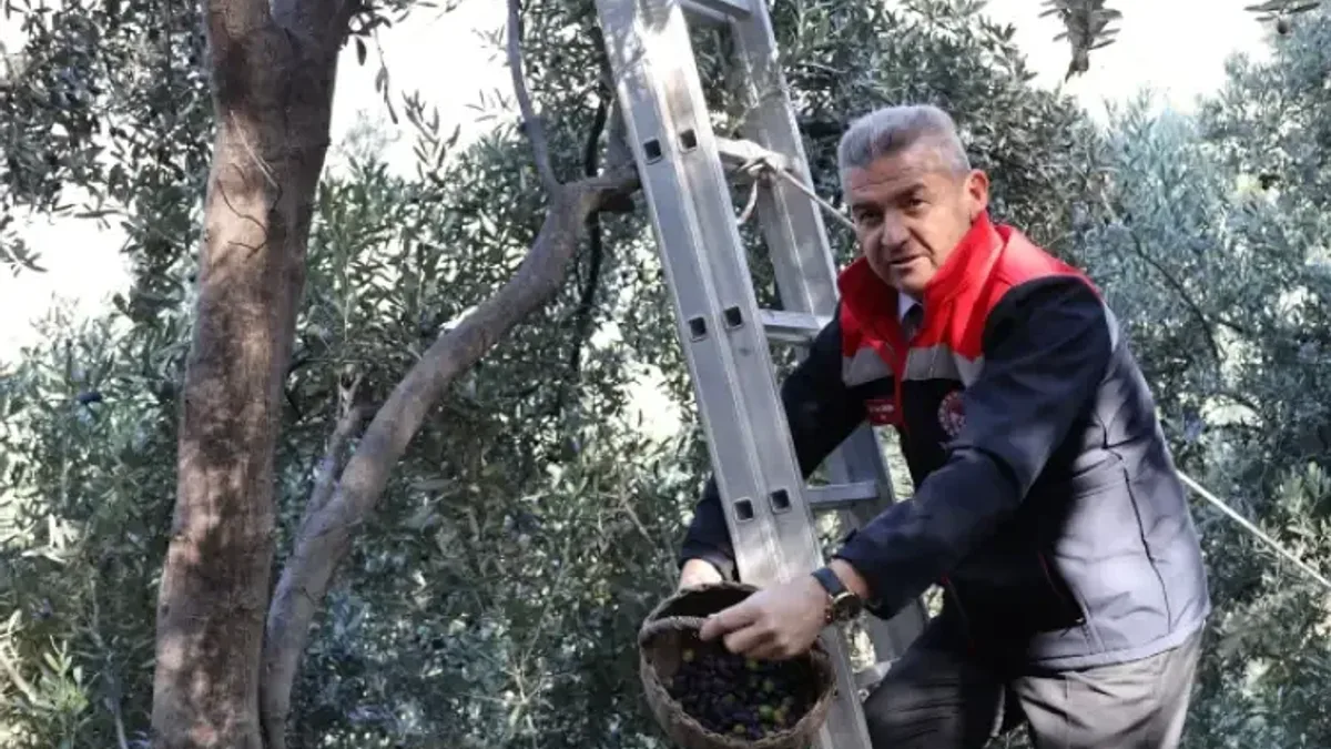 Haber Detayı