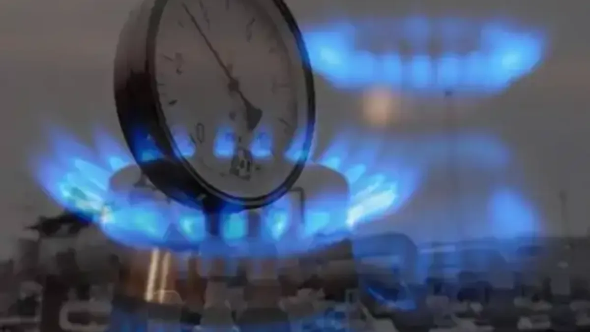 2025'te hanelerin enerji tüketiminde doğal gaz öne çıkıyor