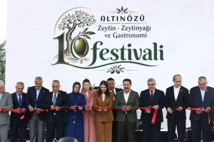 Hüseyin Yayman, Hatay'da Zeytin Festivali'nde zeytin hasadı yaptı. - Fotoğraf 1