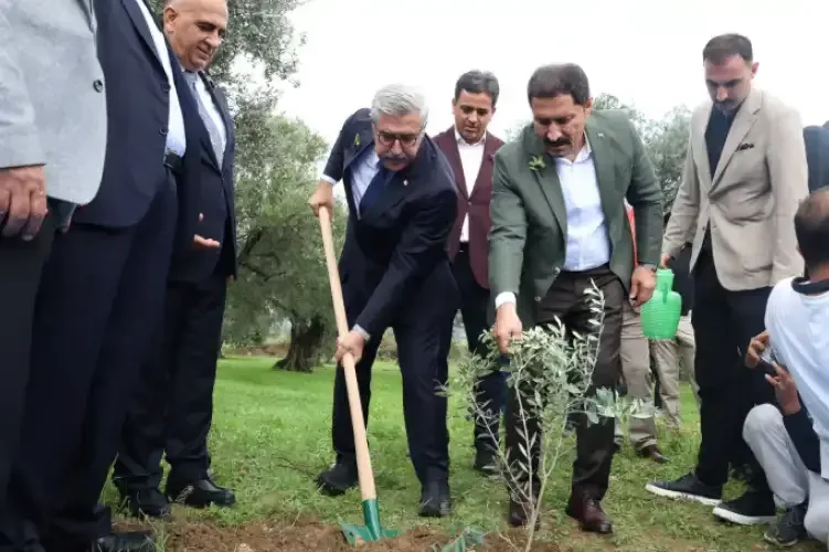 Hüseyin Yayman, Hatay'da Zeytin Festivali'nde zeytin hasadı yaptı. - Fotoğraf 2