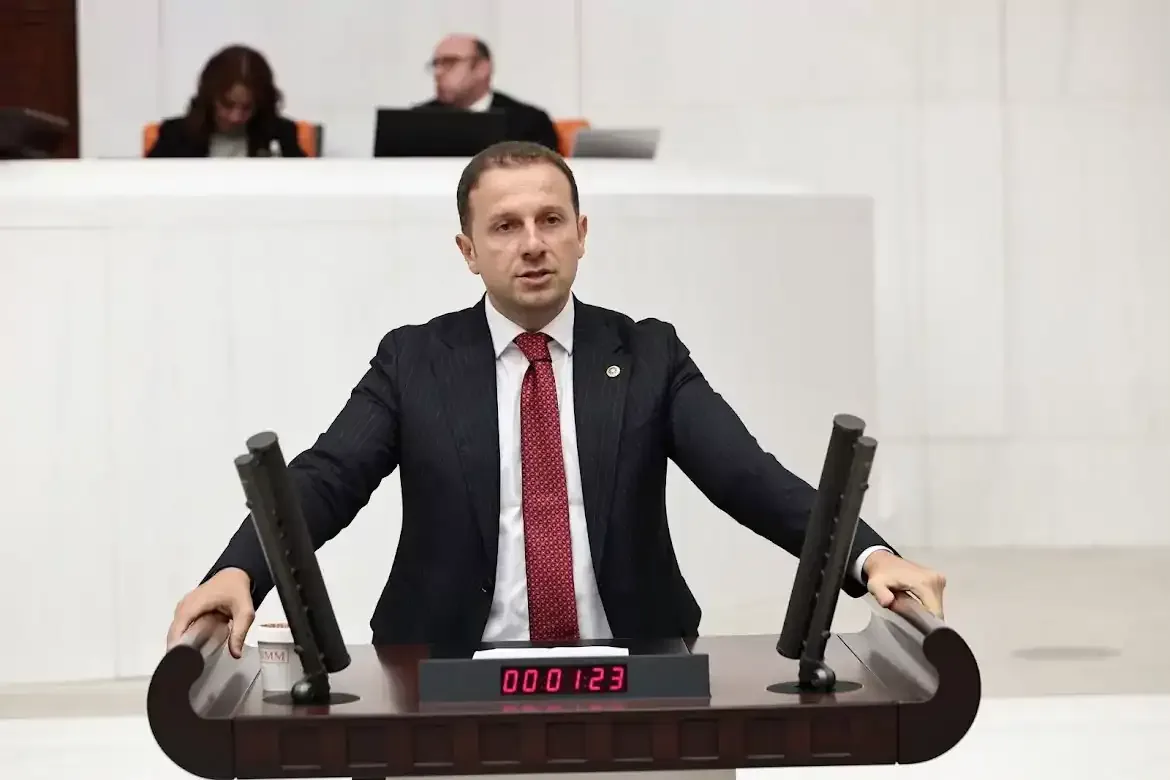 AK Parti Grup Başkanvekili Ahmet Kılıç, basın özgürlüğü hakkında konuşma yapıyor.