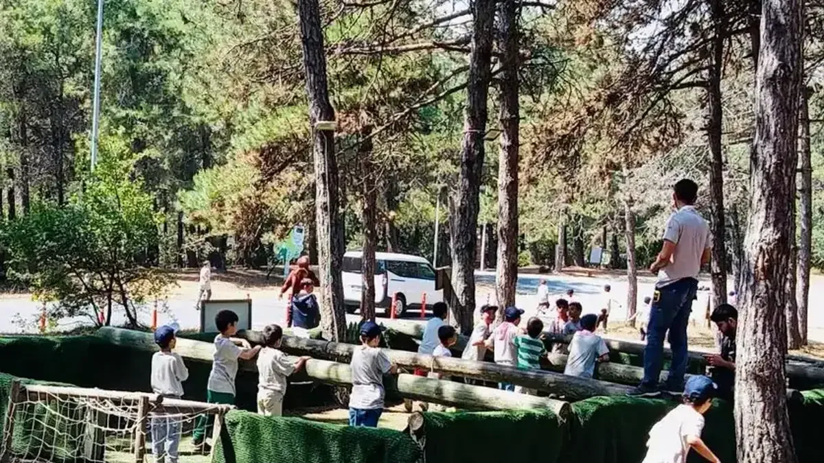 Kampta çeşitli etkinliklere katılan çocuklar.