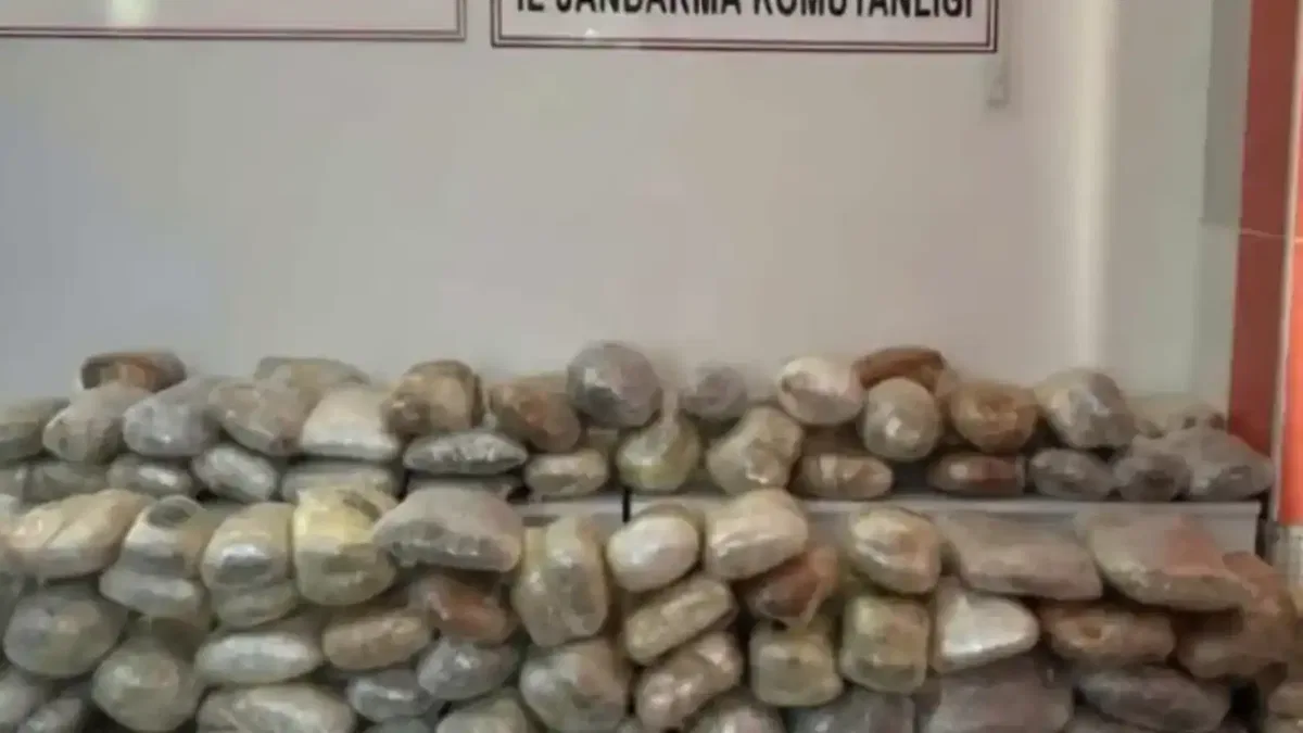 Hakkari ve Samsun'da uyuşturucu operasyonu