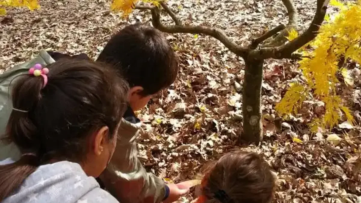 ÇEKÜL Bilgi Ağacı’na başvurular başladı