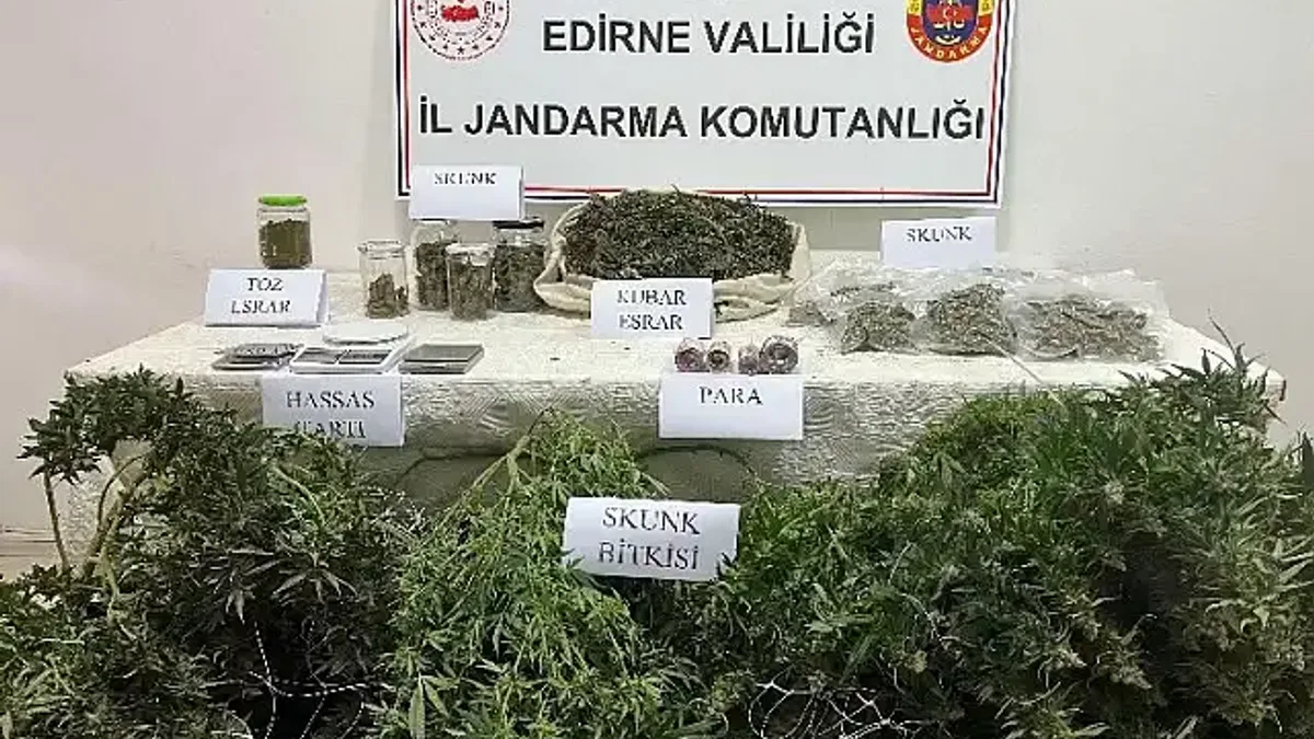 Edirne Jandarması'ndan uyuşturucu operasyonu