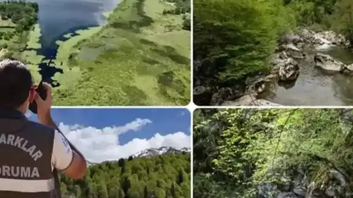Doğa Koruma ve Milli Parklar Uzmanlığı için 'tez' zorunluluğu