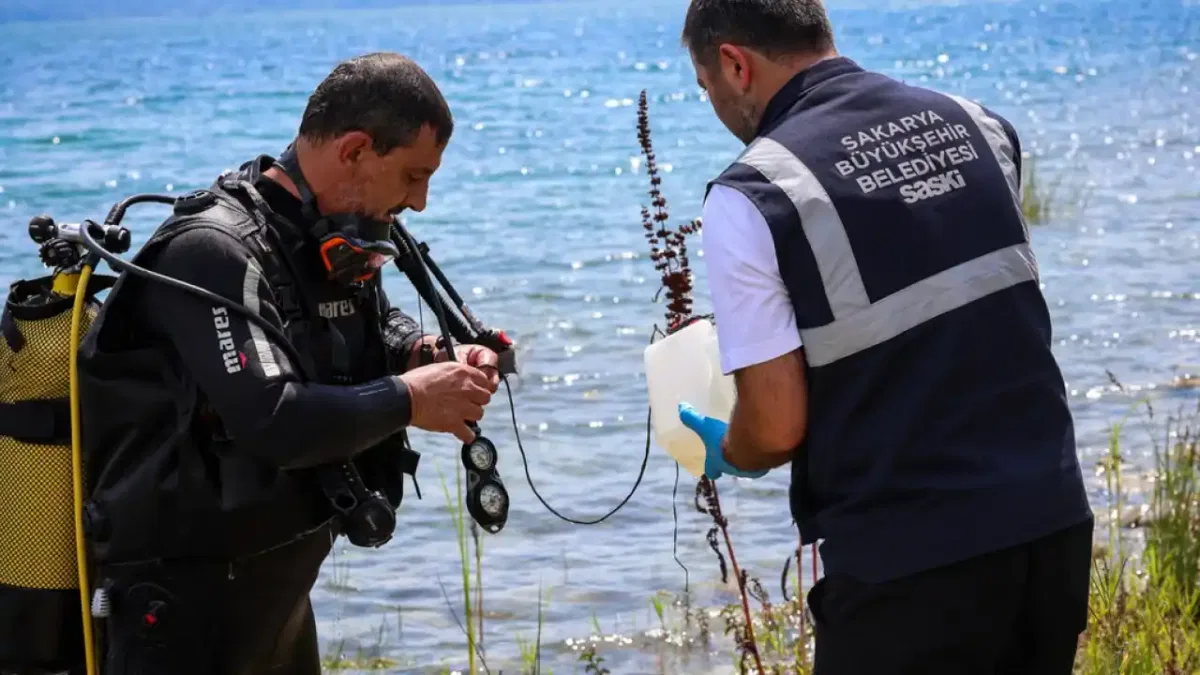 Sapanca'daki alg oluşumu mevsimsel