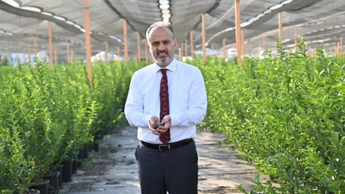 Bursa'nın yükselen değeri; tarım