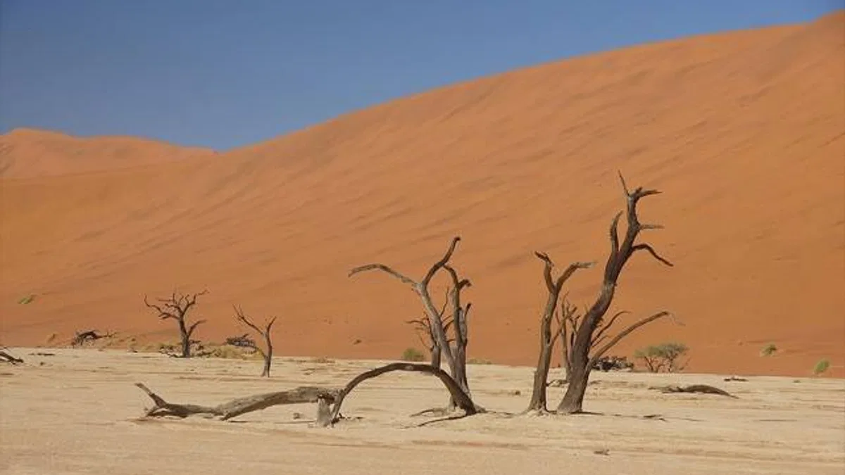 Afrika iklim krizini görüşüyor