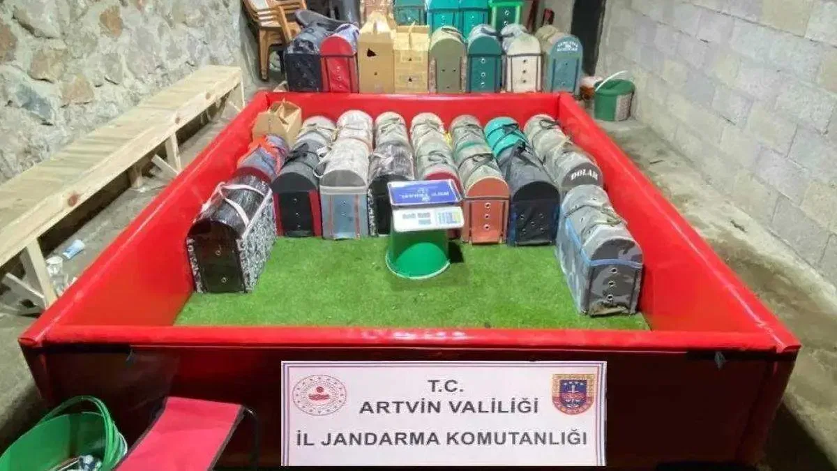 Artvin'de horoz dövüştürenlere rekor ceza