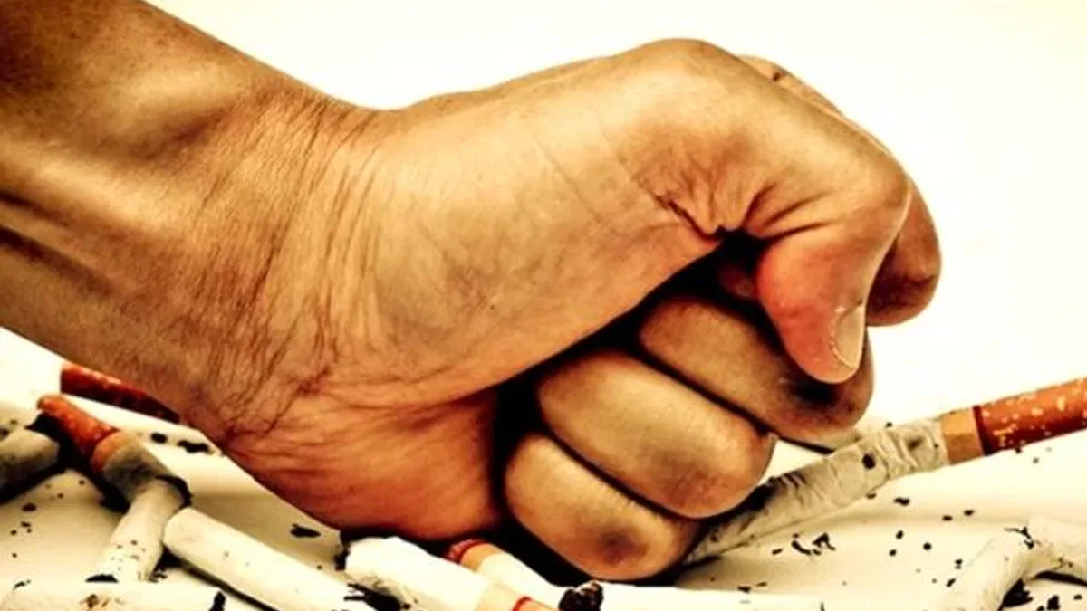 Sigarada OECD ortalamasını ikiye katladık