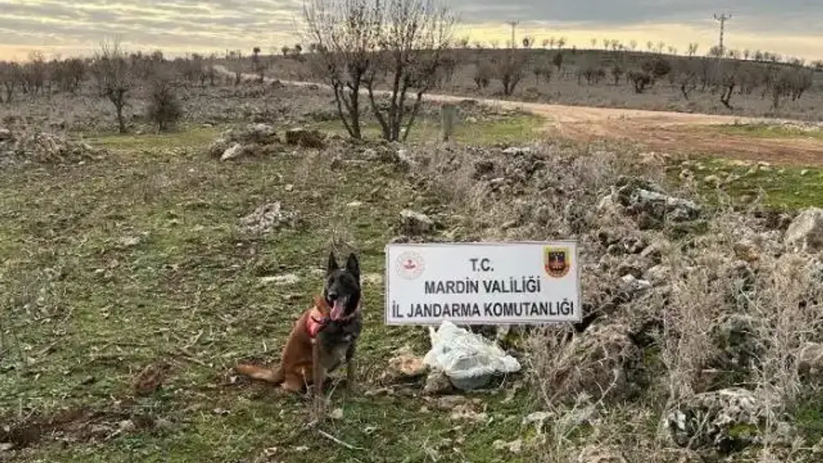 Dargeçit'te 25 kg tuzaklanmış patlayıcı ele geçirildi