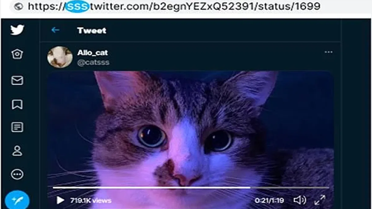 Twitter'dan Video İndirmenin En Kolay Yolu: sssTwitter Detaylı İnceleme
