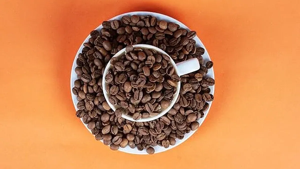 Brezilya Kahvesi Aromaları: Yumuşak, Dengeli, Keyifli