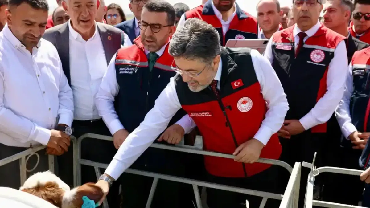 Hayvancılıkta dijital dönem