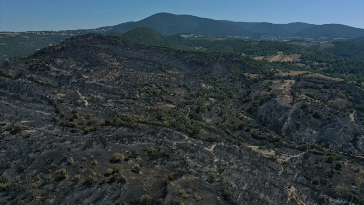Balıkesir'in Kepsut ilçesindeki orman yangınında soğutma çalışmaları sürüyor