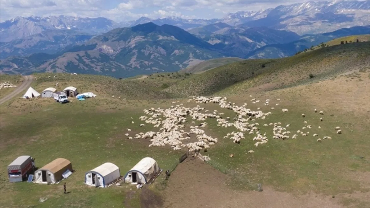 Tunceli'de huzura kavuşan yayla ve meralar artık göçerleri ağırlıyor