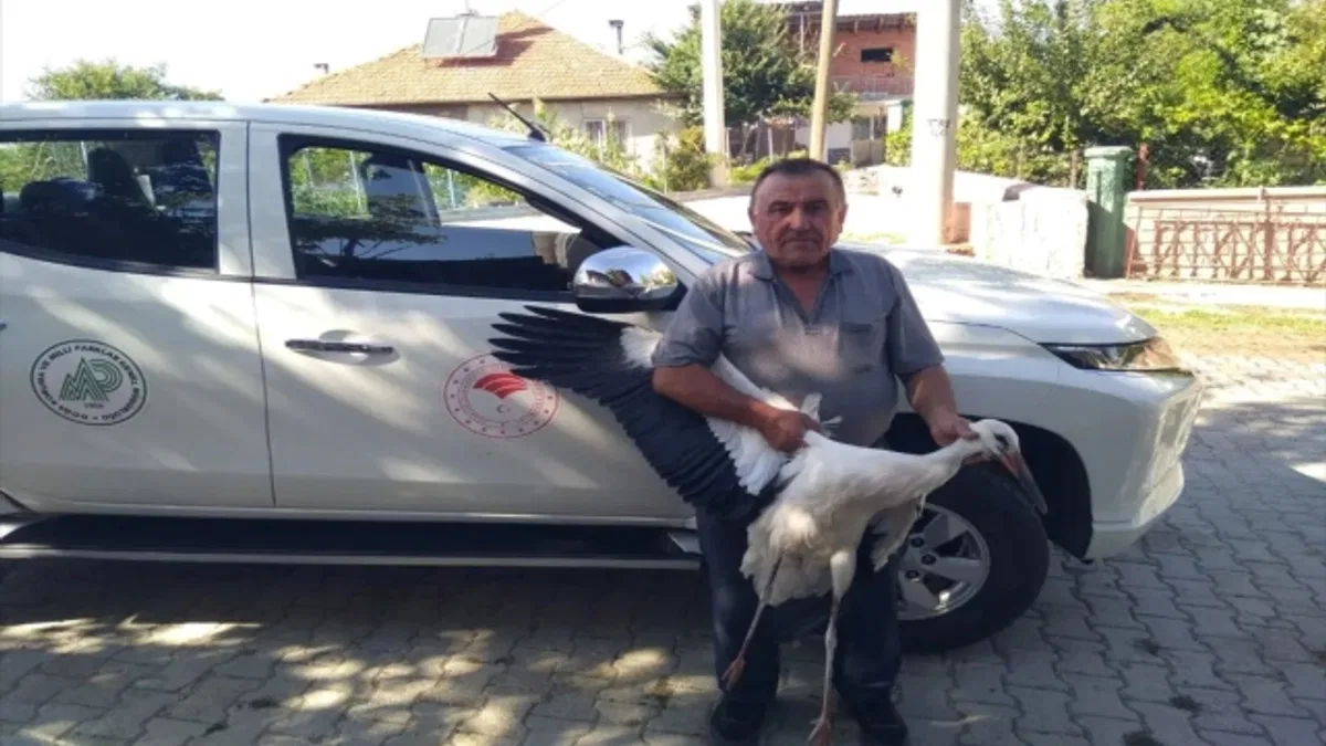 Beyşehir'de bulunan yaralı leylek tedavi ediliyor