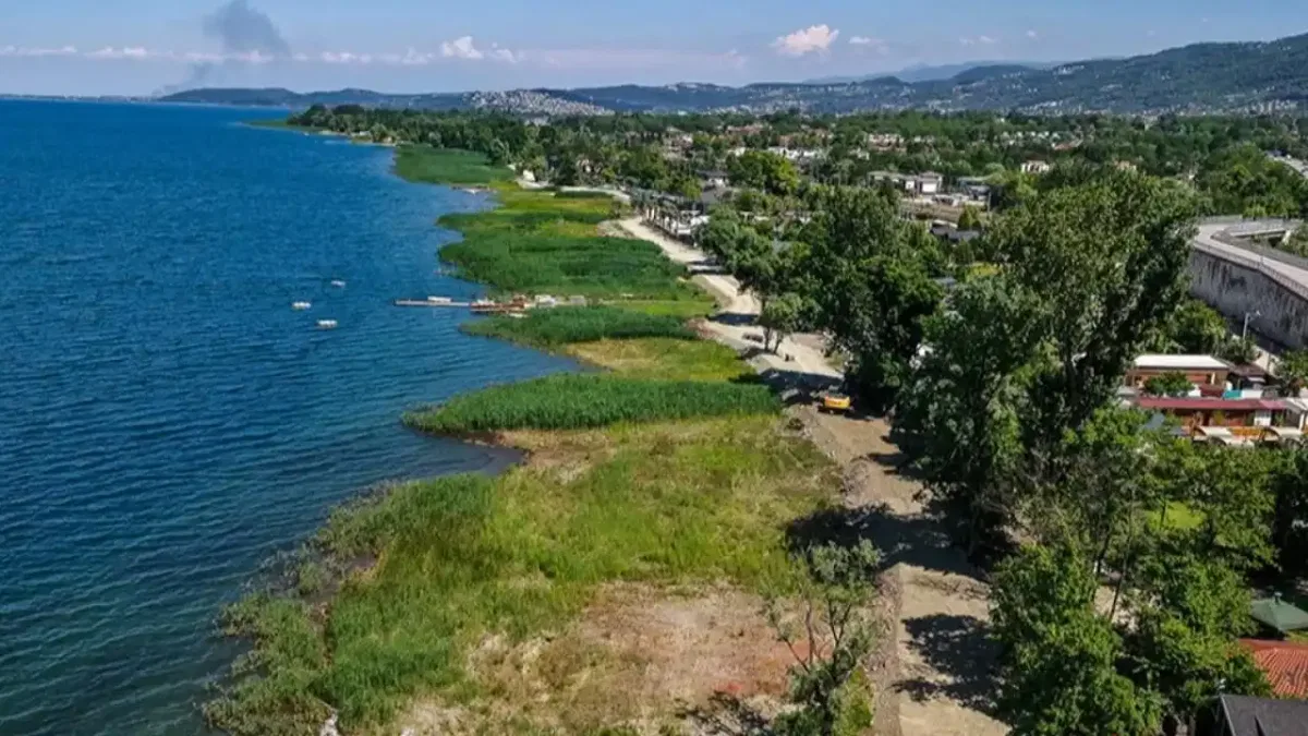 Sakarya'da Sapanca Gölü kıyısı şimdi tertemiz... Zehirli sazlıklar gitti!