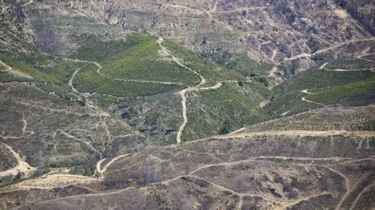 Antalya'da yanan ormanlık alanlar yeniden yeşeriyor