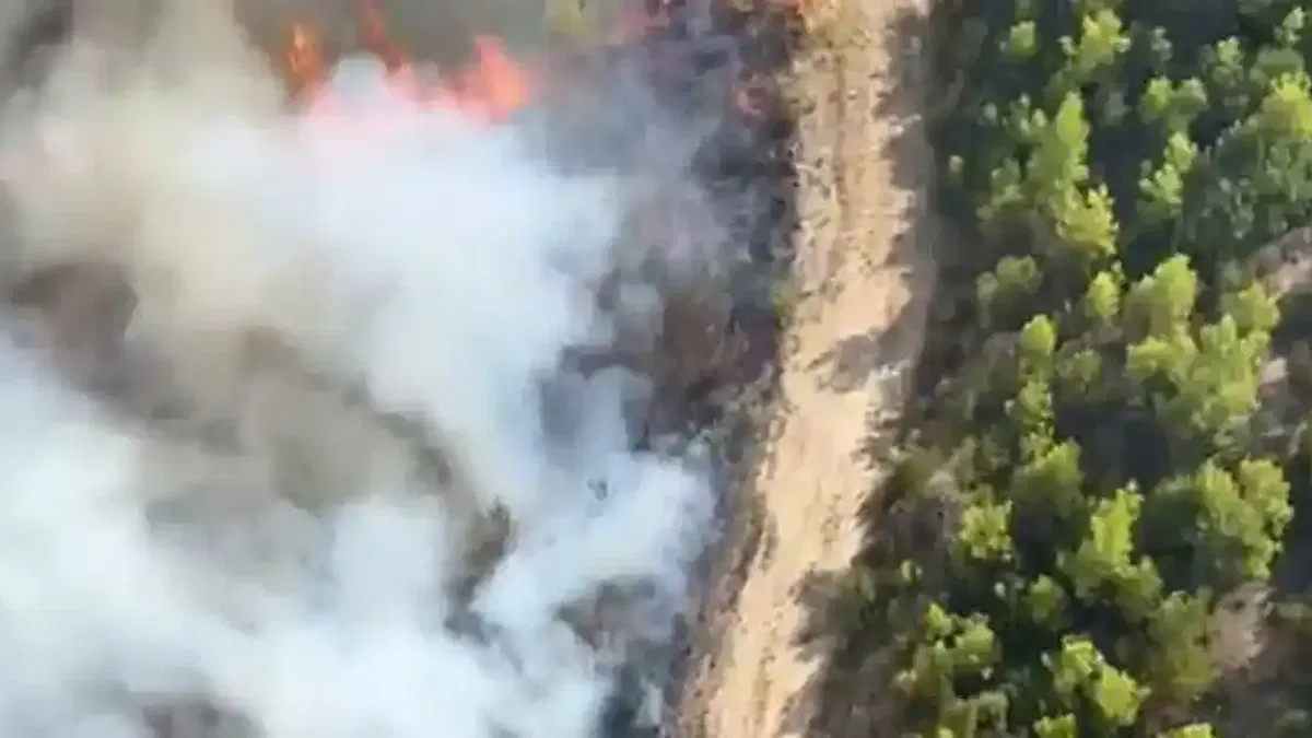 Antalya Serik'te orman yangını