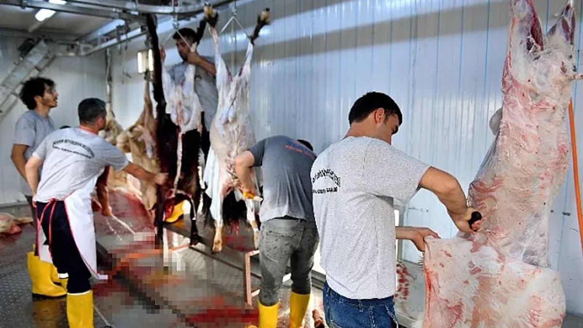Mobil mezbahalarla kurbanlıklar belediyeye emanet