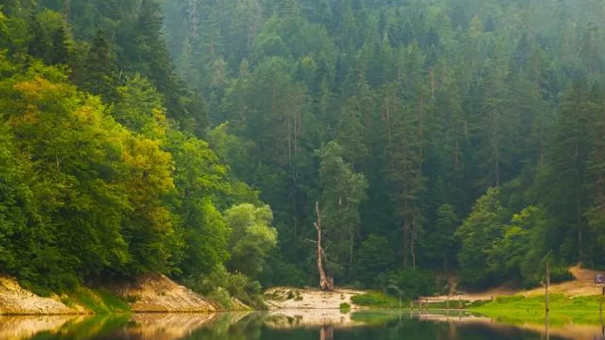 Doğa Koruma ve Milli Parklar'da yeni dönem