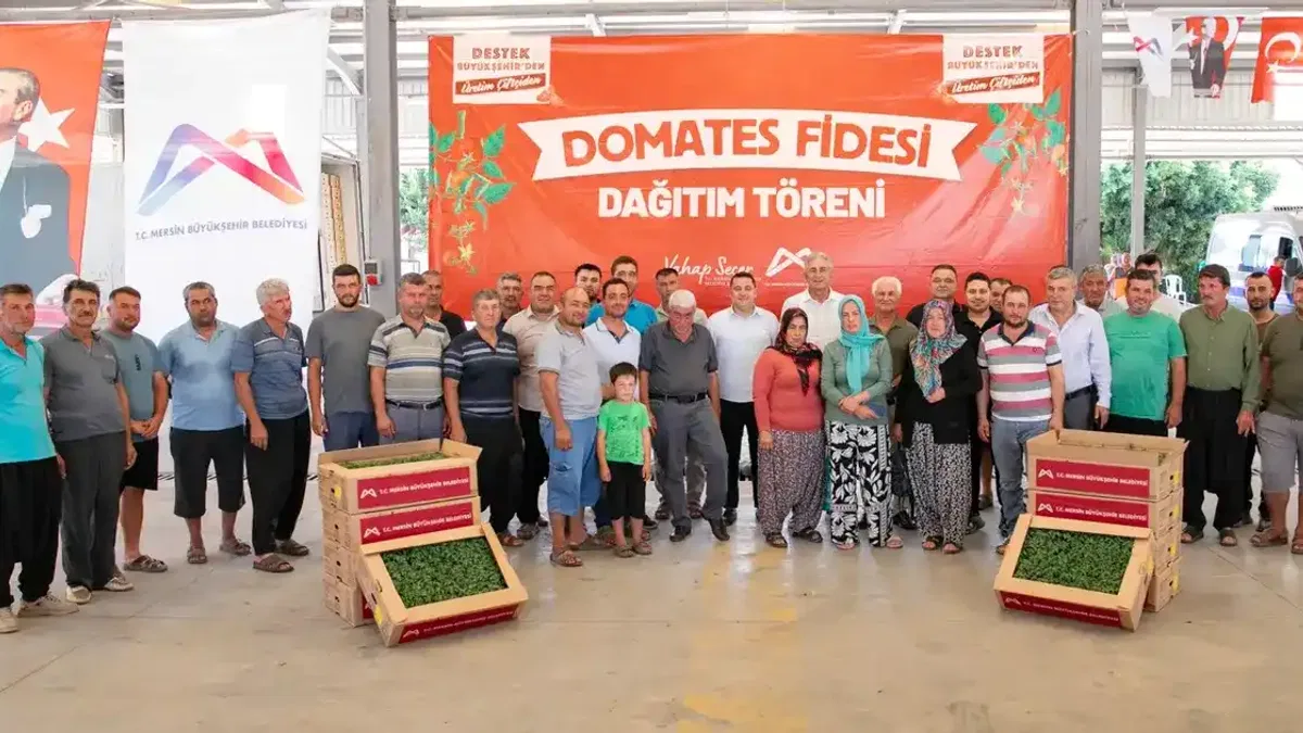 Mersin’de üreticiye domates fidesi desteği