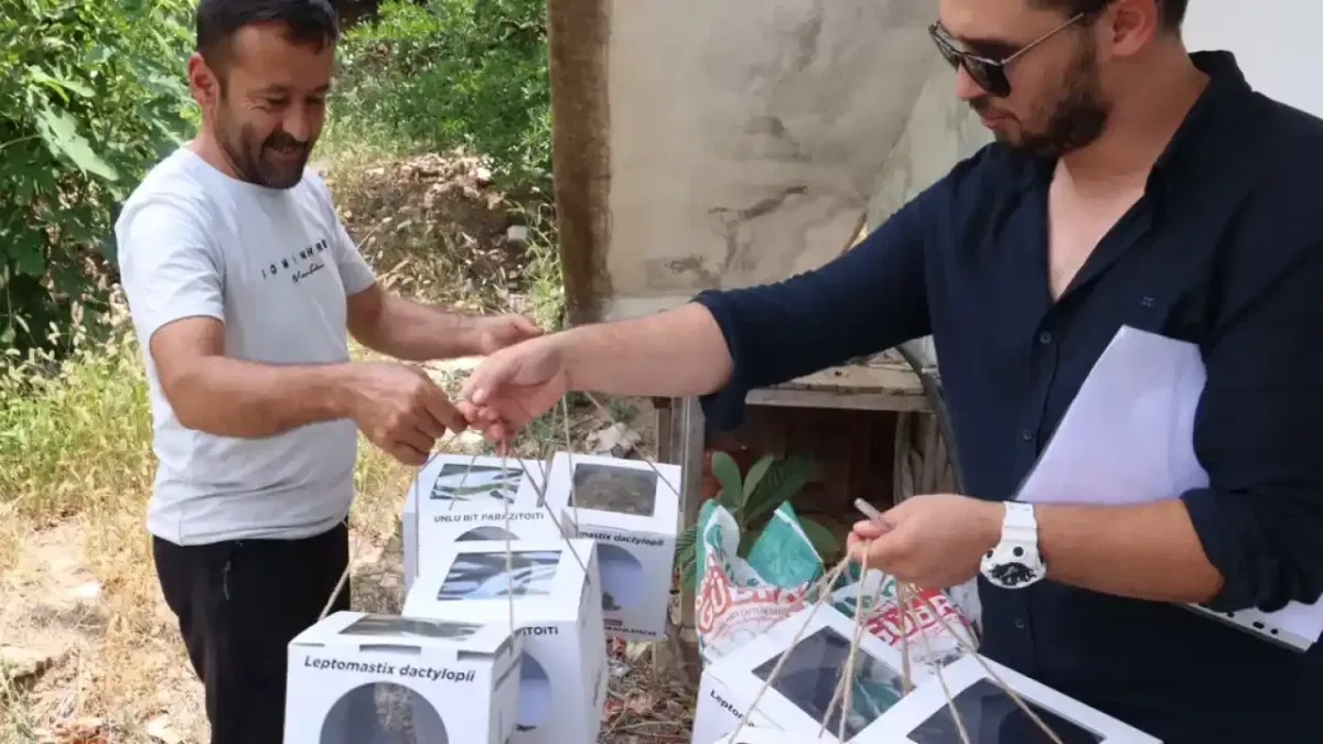 Antalya'da 800 dekar araziye faydalı böcek desteği