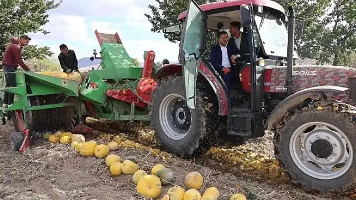 Nevşehir Belediyesi 1. Kabak Çekirdeği Festivali yapıldı.