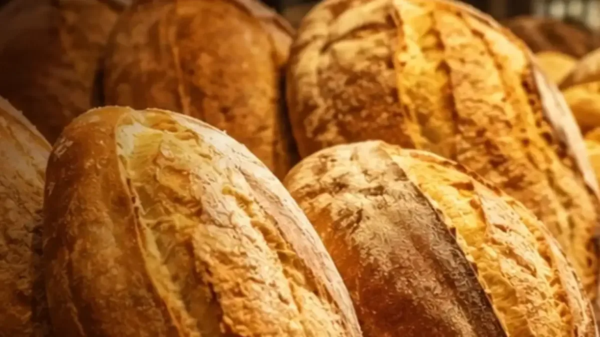 Ağrı'da ekmeğe zam! 210 gram ekmek 14 TL'ye yükseldi