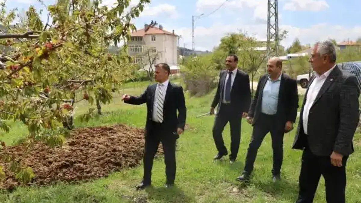 Bursa'dan 'zirai don' mağduru çiftçiye destek
