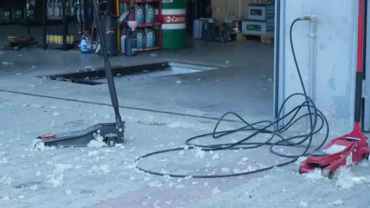 Ağrı'da kavak poleni için belediyeye önlem çağrısı!