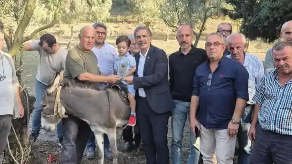 Festivalin en renkli ismine ziyaret