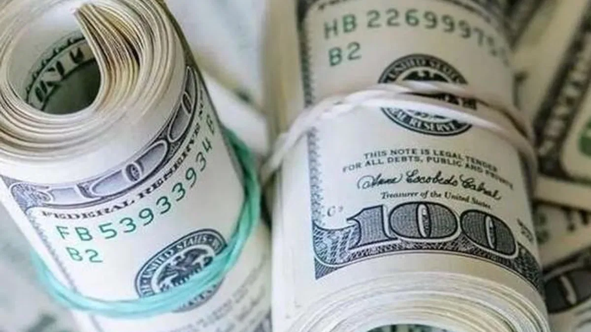 Rezervlerde 12,9 milyar dolarlık düşüş!