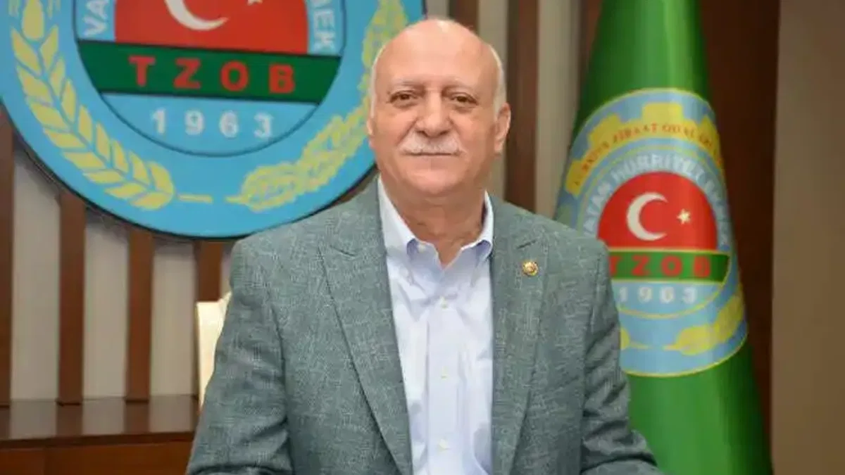 Tarım Kredi Kooperatifleri ve Türkşeker buğday alımı yapmalı