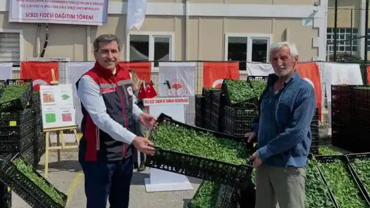 İstanbul Şile’de 146 bin fide dağıtıldı