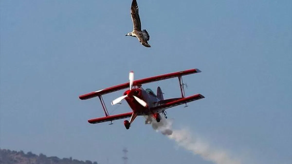 Kadın akrobasi pilotu Semin Öztürk Şener, İzmir'de prova yaptı